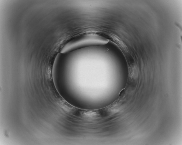 X0000096460669200801241408