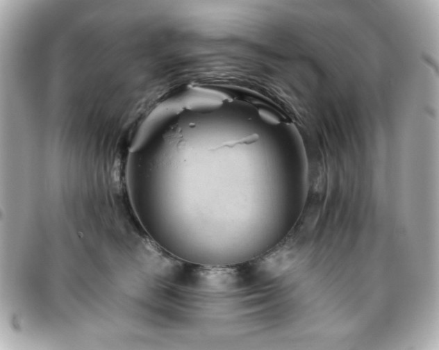X0000096460670200801241408