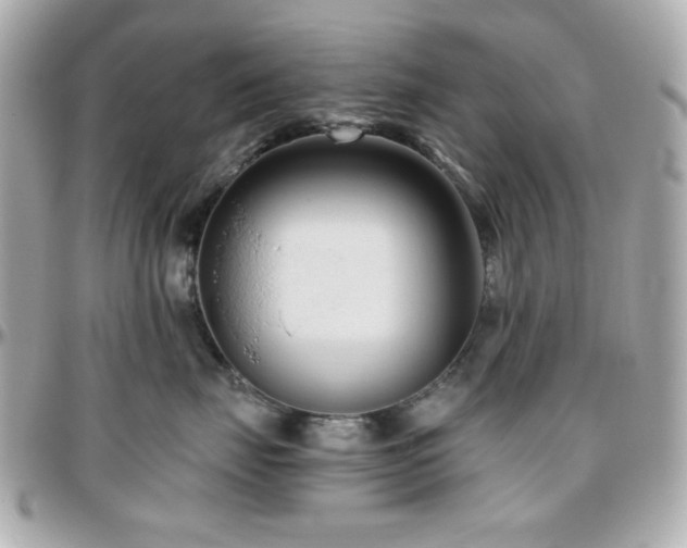 X0000096460671200801241408