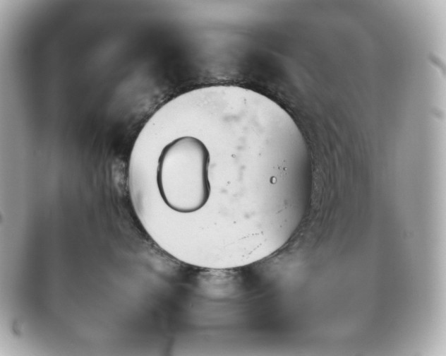 X0000096460672200801241408