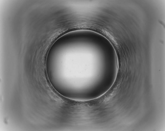 X0000096460673200801241407