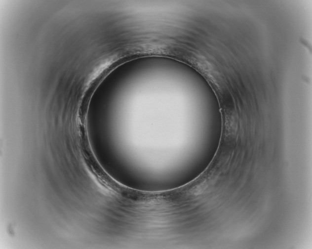X0000096460674200801241407