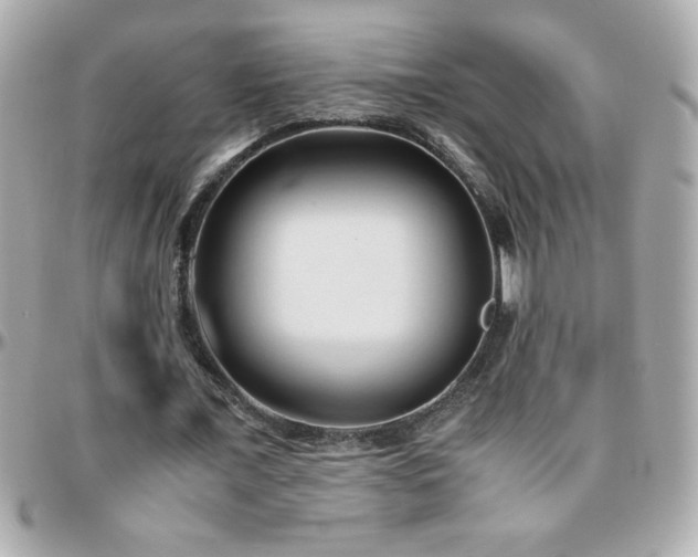 X0000096460675200801241407