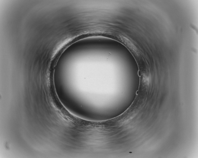 X0000096460676200801241407
