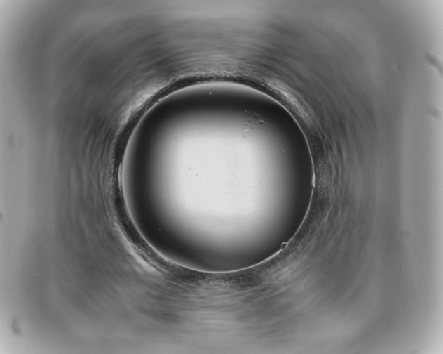 X0000096460677200801241407