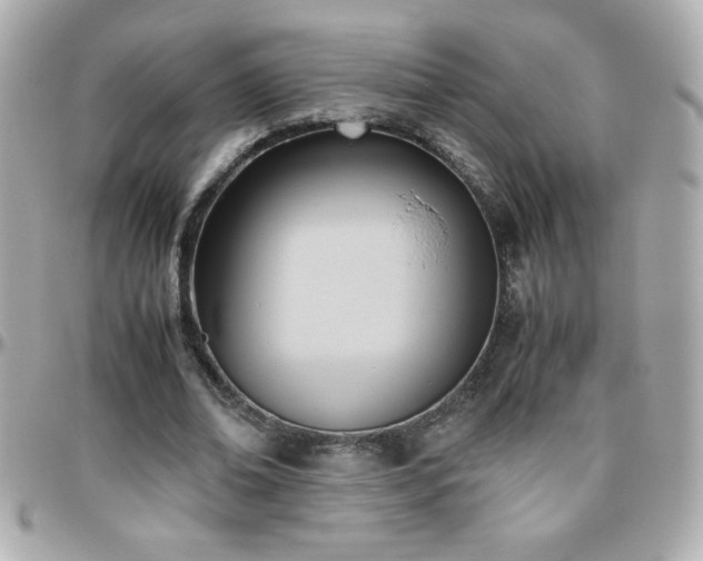X0000096460678200801241407
