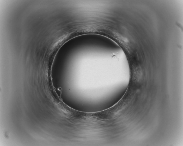 X0000096460681200801241407