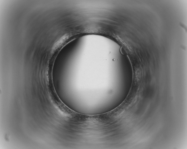 X0000096460682200801241407
