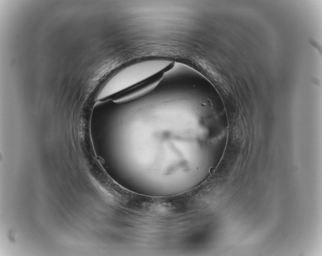X0000096460683200801241407
