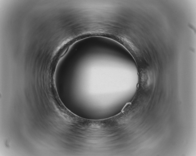 X0000096460684200801241407