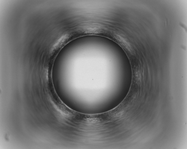 X0000096460686200801241407