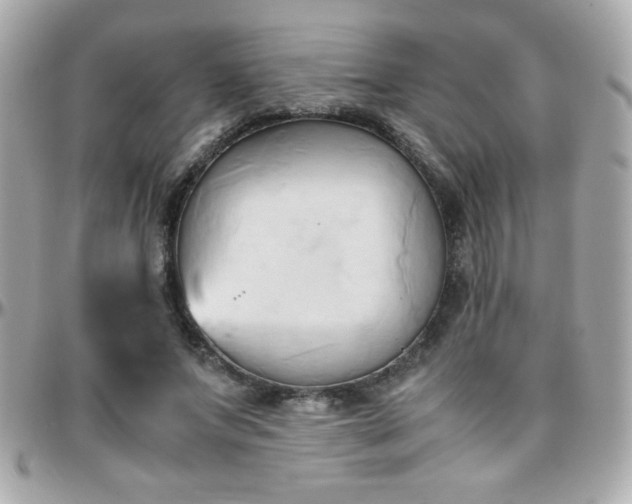 X0000096460687200801241407