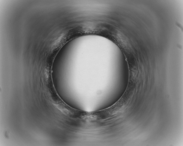 X0000096460691200801241407