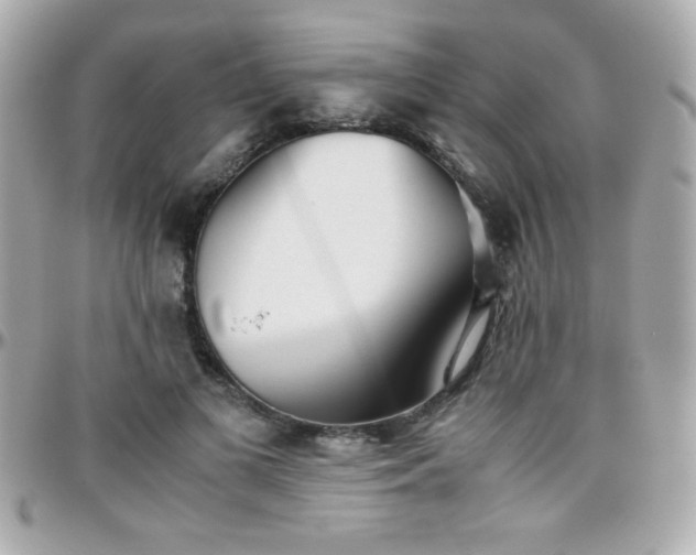 X0000096460693200801241407