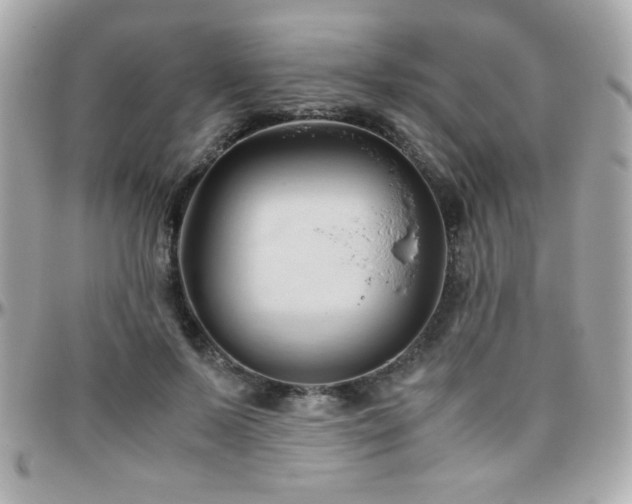 X0000096460695200801241407