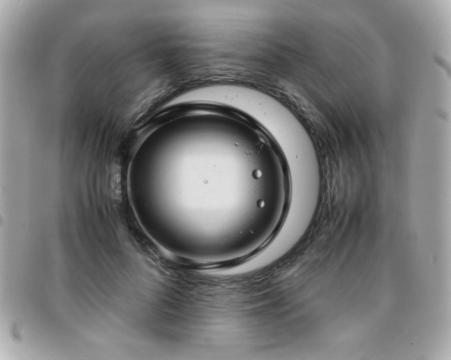 X0000096460696200801241407