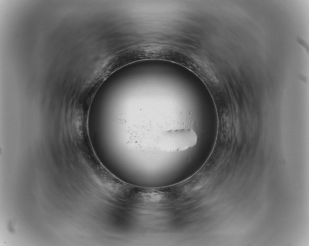 X0000096460698200801241407
