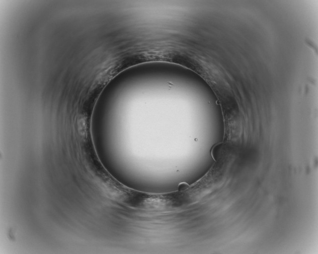 X0000096460699200801241407