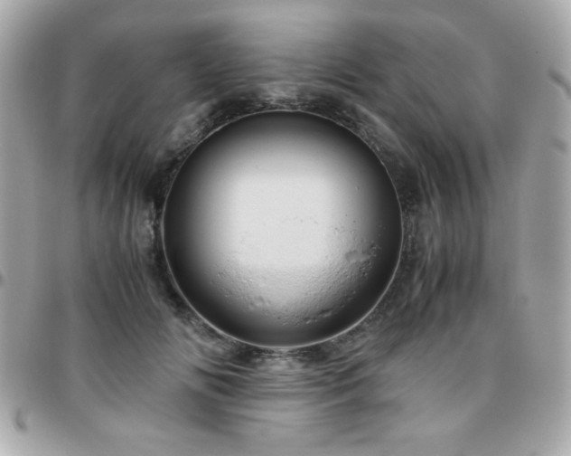 X0000096460702200801241407
