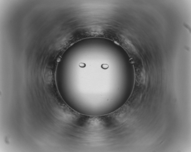 X0000096460704200801241407