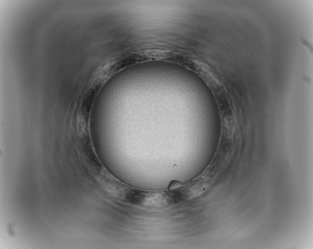 X0000096460705200801241407