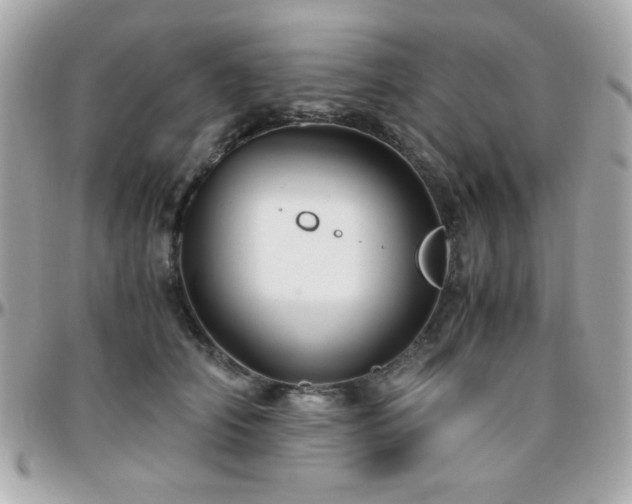 X0000096460706200801241407