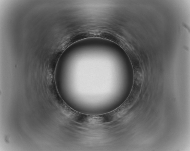X0000096460707200801241407