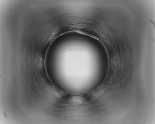 X0000096460708200801241407
