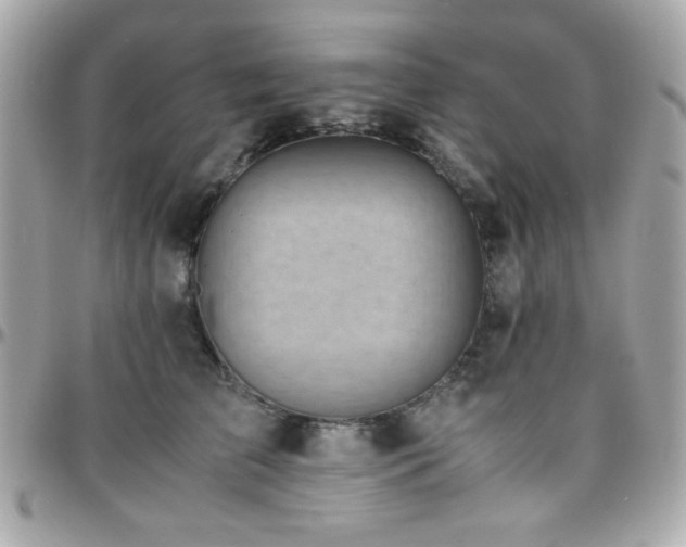 X0000096460709200801241407