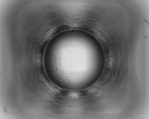 X0000096460710200801241407