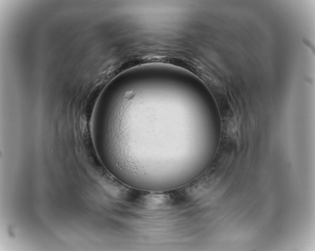 X0000096460711200801241407