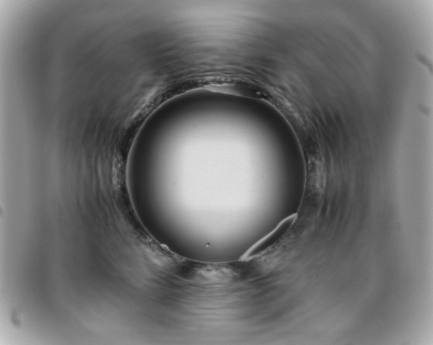 X0000096460712200801241407