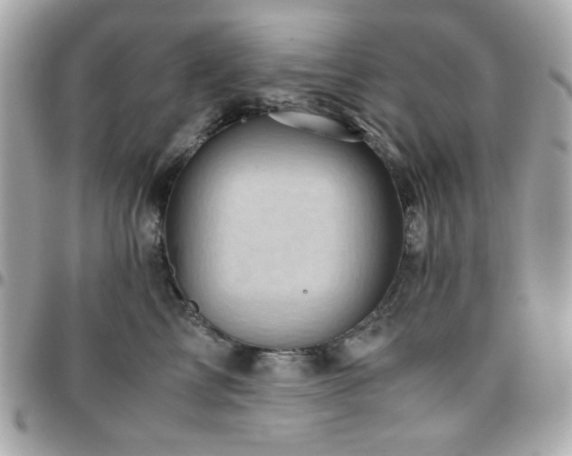 X0000096460713200801241407