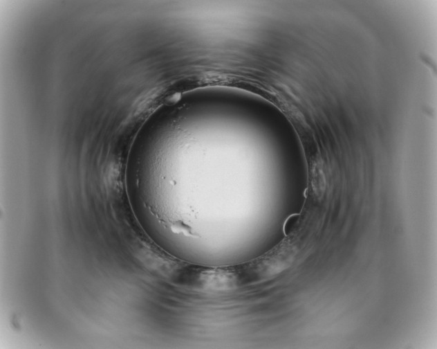 X0000096460714200801241407
