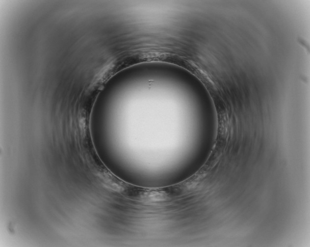 X0000096460716200801241407