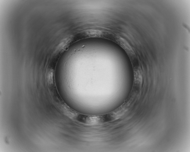 X0000096460717200801241407