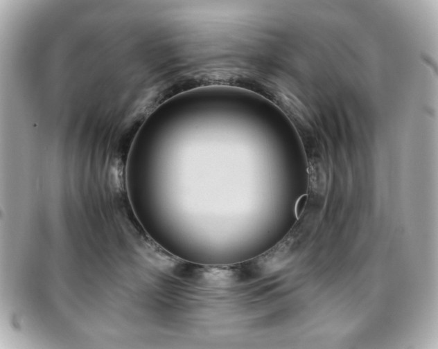 X0000096460718200801241407