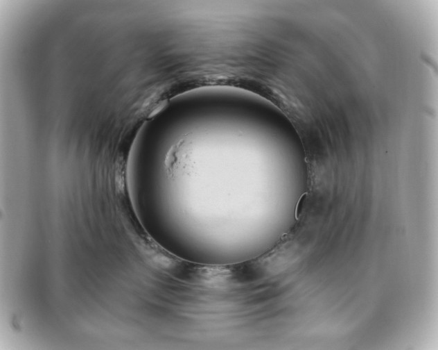 X0000096460719200801241407