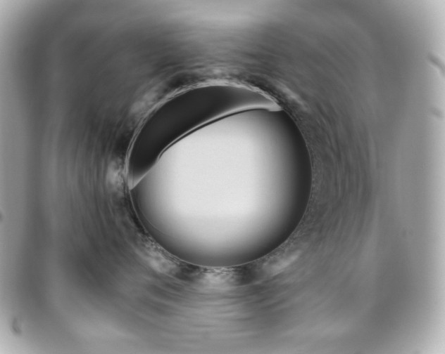 X0000096460720200801241407
