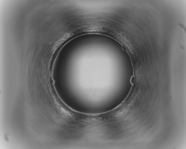 X0000096460721200801241406