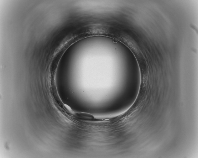 X0000096460722200801241406