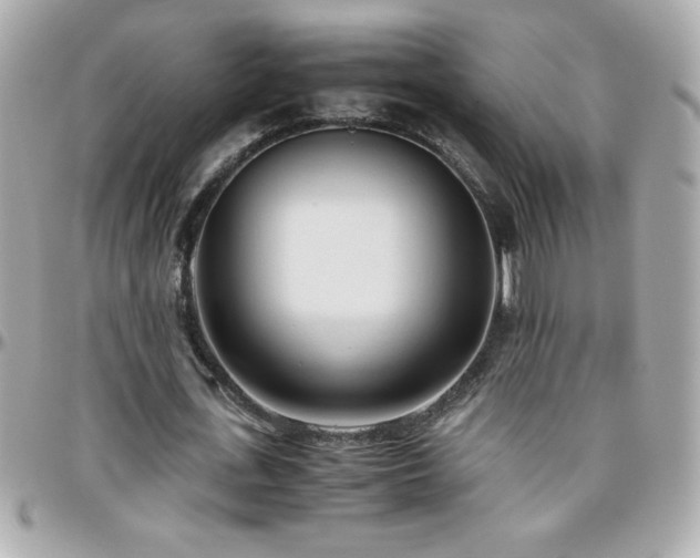 X0000096460723200801241406