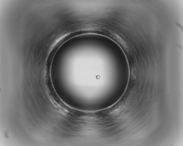 X0000096460724200801241406