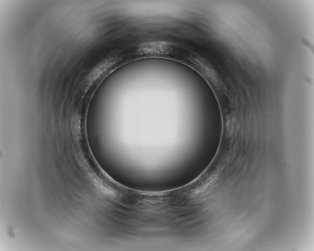 X0000096460725200801241406
