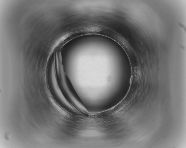 X0000096460726200801241406