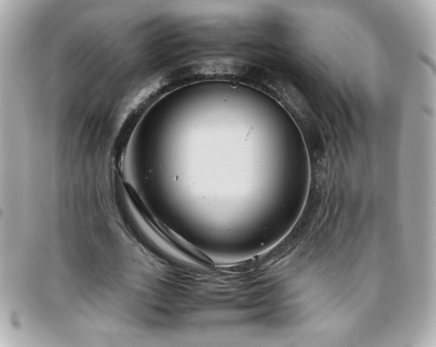 X0000096460727200801241406