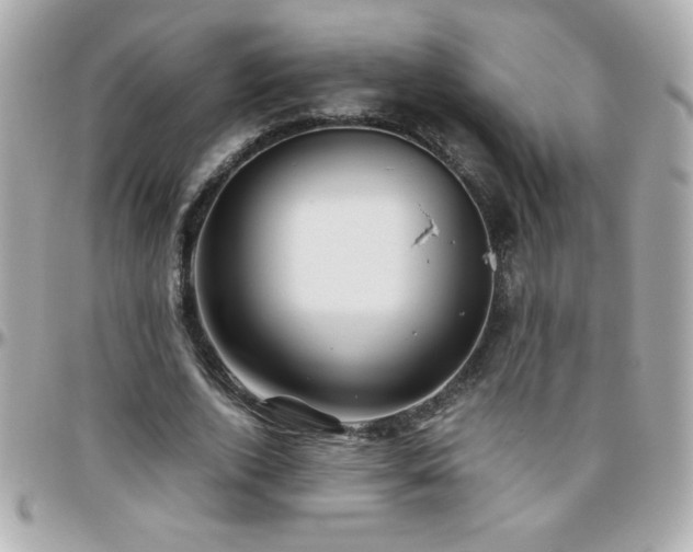 X0000096460728200801241406