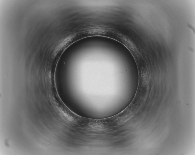 X0000096460729200801241406