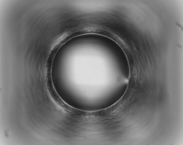 X0000096460730200801241406