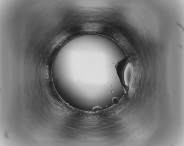 X0000096460731200801241406